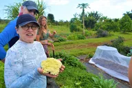Hilo Farm to Table Cooking Class at Kulaniapia Falls thumbnail 3