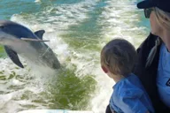 Naples 10,000 Islands Boat Tour & Everglades Walk thumbnail 1