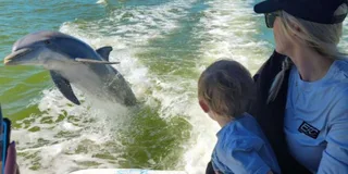 Naples 10,000 Islands Boat Tour & Everglades Walk