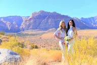 Las Vegas Red Rock Canyon Wedding Limousine Tour thumbnail 3