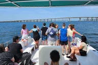 Pensacola Dolphin and Scenic Tour thumbnail 5