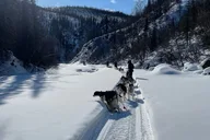 Fairbanks Husky Adventure with Your Own Dog Team 5 Days thumbnail 3