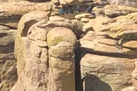 Tucson Bio Zone Mountain Tour thumbnail 3