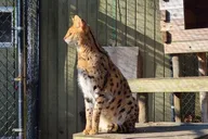 Long Island Farm and Planetarium Tour thumbnail 5