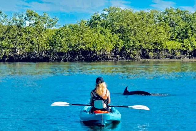 St. Augustine Kayak Adventure with Dolphins - Image 6