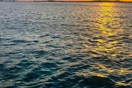 Hilton Head Island Pirates and Pizza Boat Tour thumbnail 2