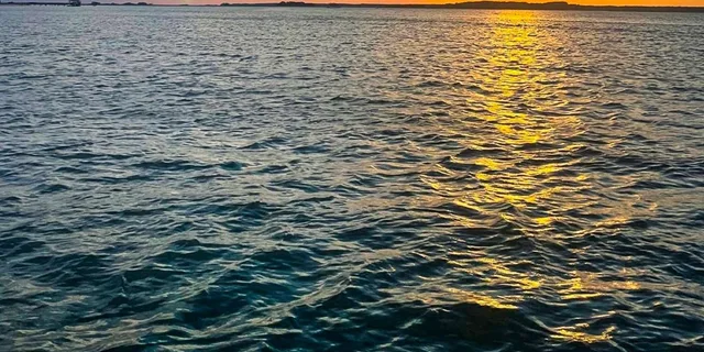 Hilton Head Island Pirates and Pizza Boat Tour - Image 2