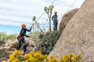 Joshua Tree Rock Climbing Tour 6 Hours thumbnail 3