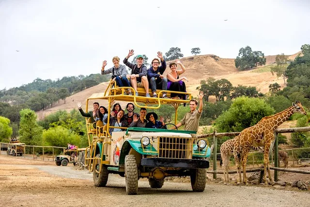 Sonoma Safari Adventure Tour - Image 4