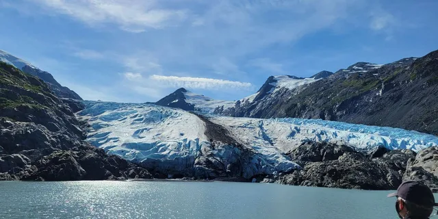 Anchorage Portage Glacier Cruise and Wildlife Explorer - Image 4