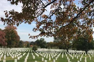 Arlington Cemetery Private Guided Walking Tour 2 hr thumbnail 5