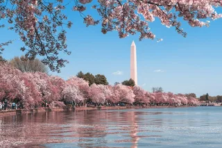 Washington D.C. Walking Tour of Jefferson, FDR, and MLK Memorials