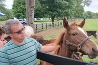 Lexington Thoroughbred Horse Farm Tour thumbnail 3