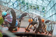 Chicago Children's Museum Entry Ticket thumbnail 2
