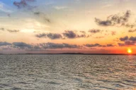 Hilton Head Dolphin Tour at Sunrise thumbnail 5