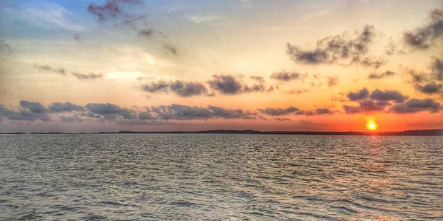 Hilton Head Dolphin Tour at Sunrise - Image 5