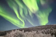 Fairbanks Northern Lights Private Tour 5 hr thumbnail 2