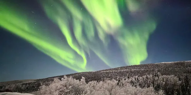 Fairbanks Northern Lights Private Tour 5 hr - Image 2
