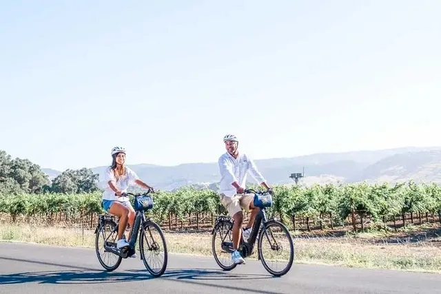 Napa Electric Bike Rental Full-Day - Image 4