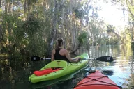 Crystal River Single Kayak Rental 4 hr thumbnail 6