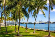 Miami City and Cruise Tour thumbnail 4