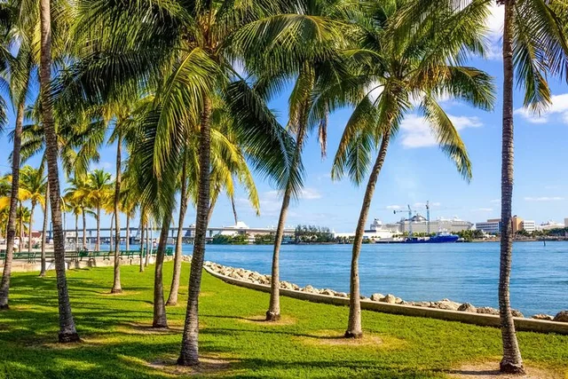 Miami City and Cruise Tour - Image 4
