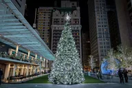 Dallas Holiday Lights Food Tour thumbnail 1