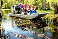 Miami Everglades Airboat Tour thumbnail 4