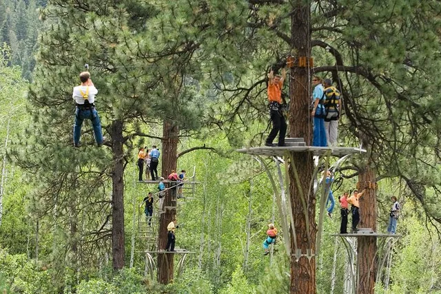 Durango Zipline Tour with Train Ride and Lunch - Image 2
