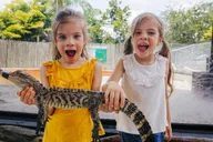 Homestead Everglades Alligator Farm Airboat Ride thumbnail 6