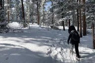 Denver Snowshoeing Adventure in the Rocky Mountains thumbnail 5