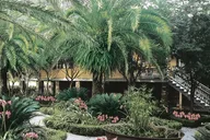 New Orleans Laura Plantation Tour thumbnail 6