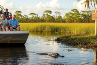 Miami Everglades Airboat & Gator Spotting Tour thumbnail 2