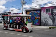 Miami Graffiti Tour on a Party Bike 90 min thumbnail 3