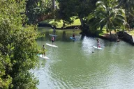 Haleiwa Stand Up Paddle Turtle Tour 90 Min thumbnail 6