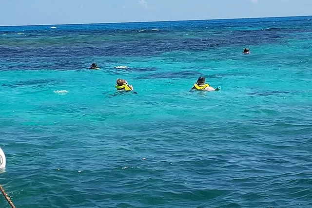Key Largo Private Snorkel Tour - Image 6