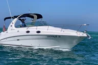Sarasota Private Charter thumbnail 5