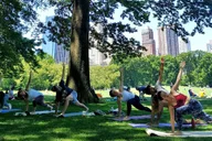 New York Central Park Yoga Class thumbnail 4