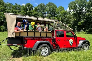 Maggie Valley Safari Tour on the Blue Ridge Parkway