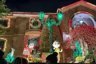 New York City Holiday Lights Tour thumbnail 6