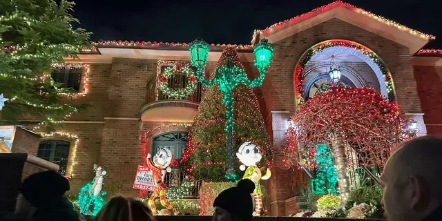 New York City Holiday Lights Tour - Image 6