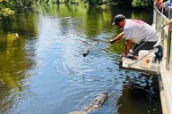 New Orleans Swamp Boat and Plantation Tour thumbnail 1