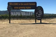 San Francisco Napa Wine Tour thumbnail 5