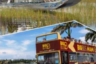 Miami Everglades and Hop-on Hop-off Tour thumbnail 1