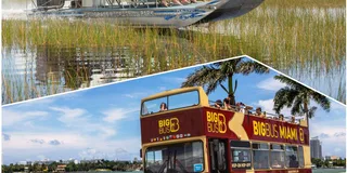 Miami Everglades and Hop-on Hop-off Tour