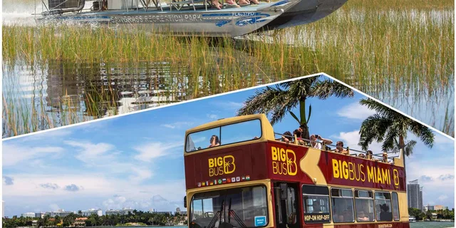 Miami Everglades and Hop-on Hop-off Tour - Image 1