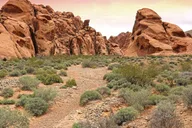 Las Vegas Valley of Fire Sunset Tour thumbnail 5