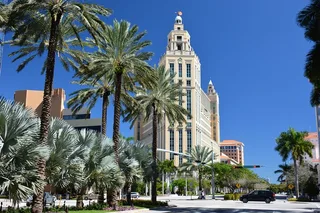 Miami Discovery Private Tour
