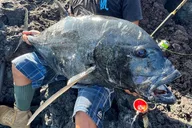 Hawaii GT Fishing Full Day thumbnail 1