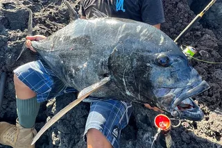 Hawaii GT Fishing Full Day